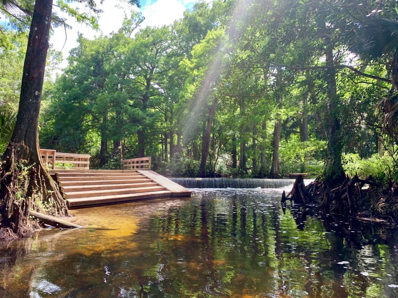 May 8th Member Adventure Loxahatchee River Hike • Lake Worth Waterkeeper