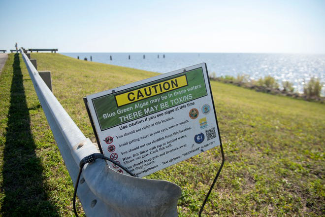 Toxic algae warning signs weren’t in Spanish until the Indian Riverkeeper intervened