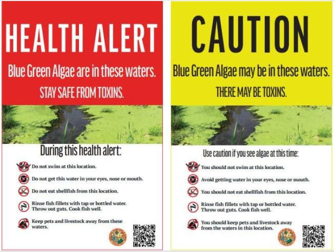 Why weren’t toxic algae health alerts publicized until this month? May was plenty toxic