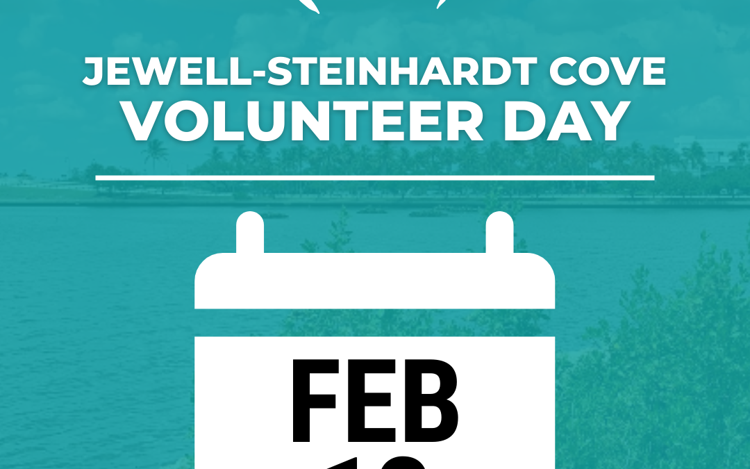 FEB 13th – Living Shoreline Volunteer Day at Jewell-Steinhardt Cove