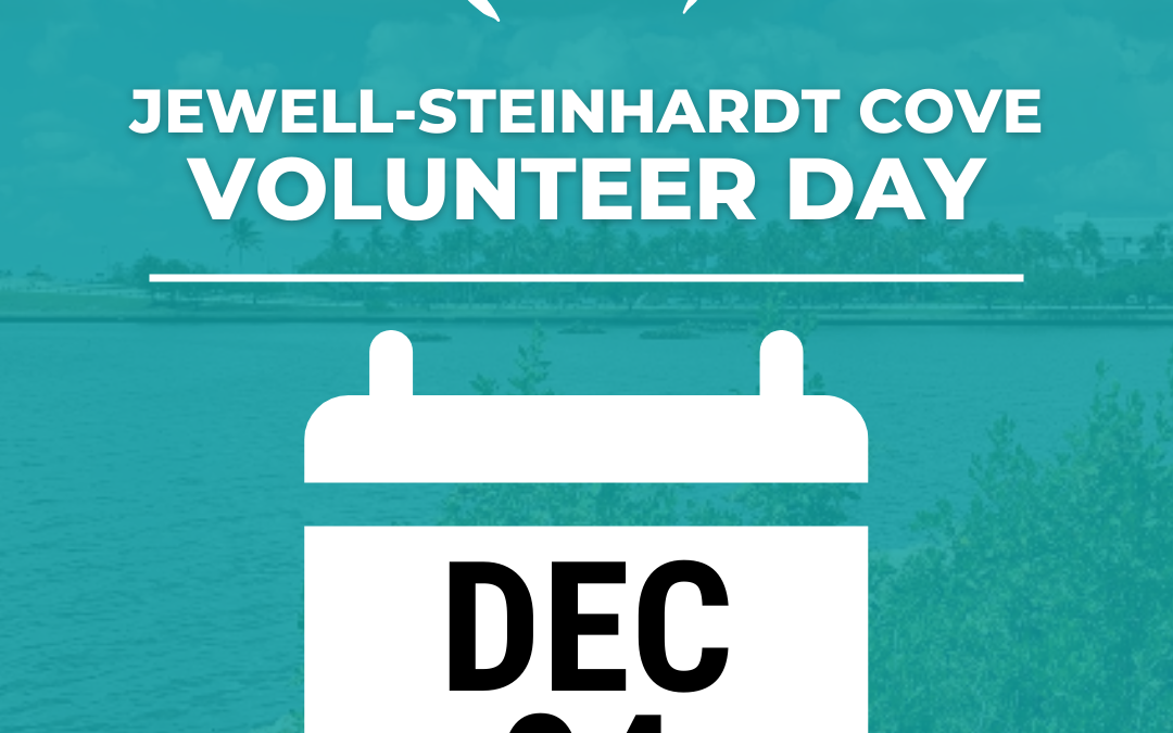 DEC 4th – Living Shoreline Volunteer Day at Jewell-Steinhardt Cove