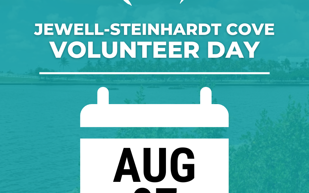AUG 7th – Living Shoreline Volunteer Day at Jewell-Steinhardt Cove