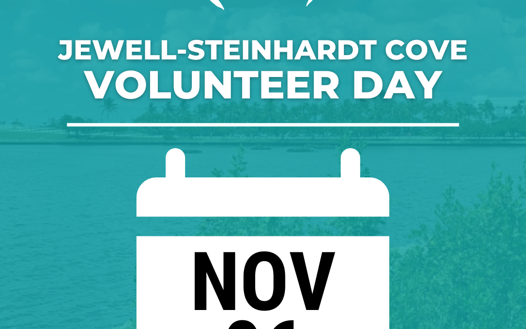 NOV 6th – Living Shoreline Volunteer Day at Jewell-Steinhardt Cove