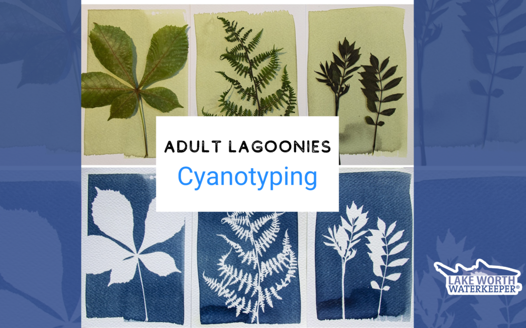 Adult LaGoonies: Cyanotyping w/ Autumn